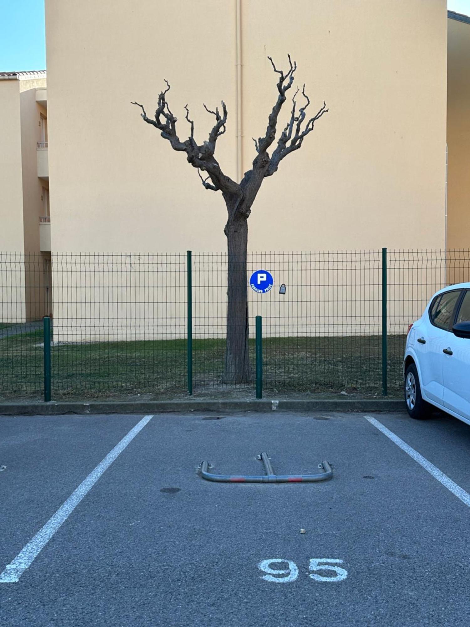 T2 Rdc A Canet En Roussillon Europa 4 Pers ,Piscine,Clim, Tennis, Parking Exterior foto